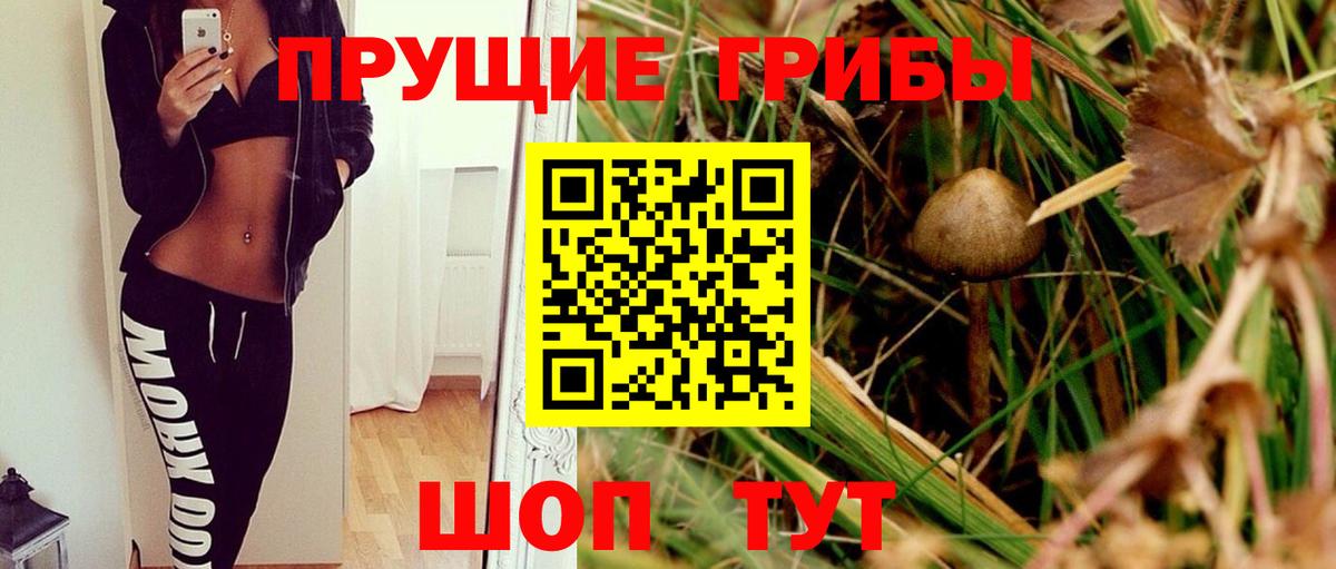 Выкса  Псилоцибиновые грибы Cubensis  Галлюциногенные грибы Psilocybe  Вход с VPN 